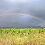 Petit Mas En Plein Vignoble Vallee De L'herault Holiday home *