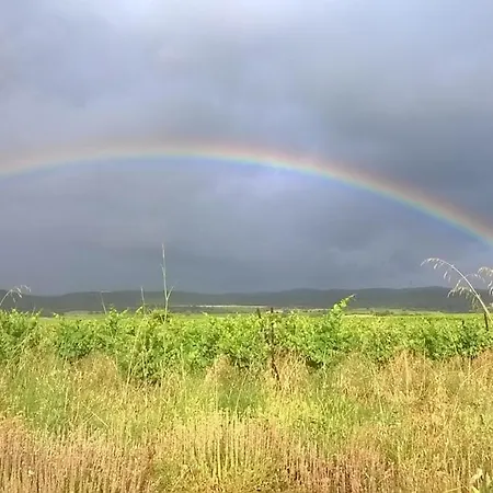 Petit Mas En Pleine Nature Vallee De L'herault Дом отдыха *
